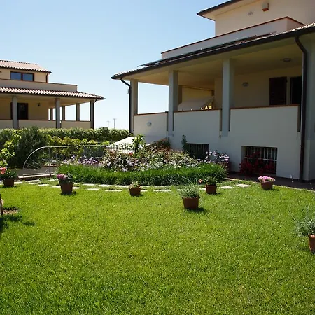 I Papaveri San Vincenzo