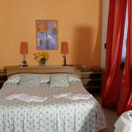 I Papaveri San Vincenzo